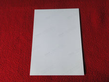 Load image into Gallery viewer, Vintage 18 Y.O + Gay Interest Colt Studios Nude Hot Male Photo D%10