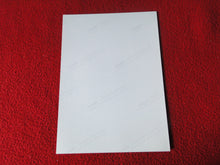 Load image into Gallery viewer, Vintage 18 Y.O + Gay Interest Colt Studios Nude Hot Male Photo D%11