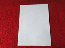 Load image into Gallery viewer, Vintage 18 Y.O + Gay Interest Colt Studios Nude Hot Male Photo D%14