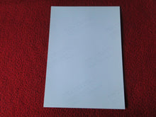 Load image into Gallery viewer, Vintage 18 Y.O + Gay Interest Colt Studios Nude Hot Male Photo D%3