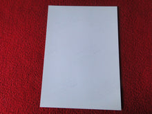 Load image into Gallery viewer, Vintage 18 Y.O + Gay Interest Colt Studios Nude Hot Male Photo D%4