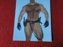 Load image into Gallery viewer, Vintage 18 Y.O + Gay Interest Colt Studios Nude Hot Male Photo D%5