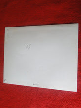 Load image into Gallery viewer, Vintage Nude Woman 8 x 10 Silver Gelatin Photo Young Hairy Pussy AVf