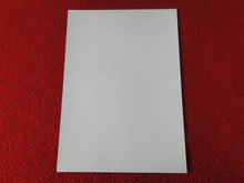 Load image into Gallery viewer, Vintage 18 Y.O + Gay Interest Colt Studios Nude Hot Male Photo D%7