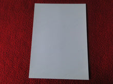 Load image into Gallery viewer, Vintage 18 Y.O + Gay Interest Colt Studios Nude Hot Male Photo D%11