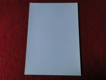 Load image into Gallery viewer, Vintage 18 Y.O + Gay Interest Colt Studios Nude Hot Male Photo D%12