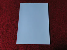 Load image into Gallery viewer, Vintage 18 Y.O + Gay Interest Colt Studios Nude Hot Male Photo D%25