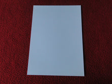 Load image into Gallery viewer, Vintage 18 Y.O + Gay Interest Colt Studios Nude Hot Male Photo D%42