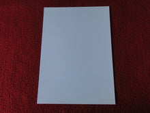 Load image into Gallery viewer, Vintage 18 Y.O + Gay Interest Colt Studios Nude Hot Male Photo D%43