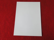 Load image into Gallery viewer, Vintage 18 Y.O + Gay Interest Colt Studios Nude Hot Male Photo D%44