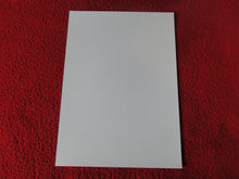 Load image into Gallery viewer, Vintage 18 Y.O + Gay Interest Colt Studios Nude Hot Male Photo D^5