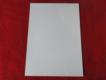 Load image into Gallery viewer, Vintage 18 Y.O + Gay Interest Colt Studios Nude Hot Male Photo D^6