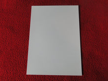 Load image into Gallery viewer, Vintage 18 Y.O + Gay Interest Colt Studios Nude Hot Male Photo D^9