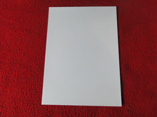 Load image into Gallery viewer, Vintage 18 Y.O + Gay Interest Colt Studios Nude Hot Male Photo D^10