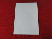 Load image into Gallery viewer, Vintage 18 Y.O + Gay Interest Colt Studios Nude Hot Male Photo D^12