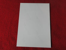 Load image into Gallery viewer, Vintage 18 Y.O + Gay Interest Colt Studios Nude Hot Male Photo D^16