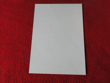 Load image into Gallery viewer, Vintage 18 Y.O + Gay Interest Colt Studios Nude Hot Male Photo D^17