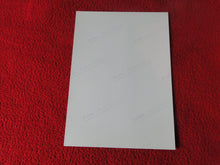 Load image into Gallery viewer, Vintage 18 Y.O + Gay Interest Colt Studios Nude Hot Male Photo D^25