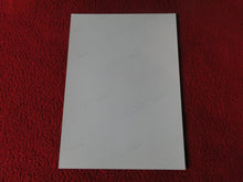 Load image into Gallery viewer, Vintage 18 Y.O + Gay Interest Colt Studios Nude Hot Male Photo D^26