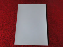 Load image into Gallery viewer, Vintage 18 Y.O + Gay Interest Colt Studios Nude Hot Male Photo D=6