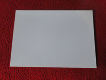 Load image into Gallery viewer, Copy of Vintage 18 Y.O + Gay Interest Colt Studios Nude Hot Male Photo D=10