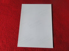 Load image into Gallery viewer, Vintage 18 Y.O + Gay Interest Colt Studios Nude Hot Male Photo D=13