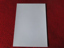 Load image into Gallery viewer, Vintage 18 Y.O + Gay Interest Colt Studios Nude Hot Male Photo D=16