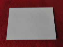 Load image into Gallery viewer, Vintage 18 Y.O + Gay Interest Colt Studios Nude Hot Male Photo D=24