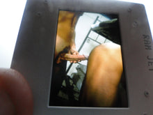 Load image into Gallery viewer, VINTAGE 35MM GAY MALE SLIDE BEEFCAKE MUSCLE NUDE FALCON STUDIOS CSh