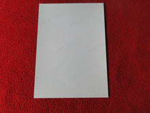 Load image into Gallery viewer, Vintage 18 Y.O + Gay Interest Colt Studios Nude Hot Hung Male Photo D26g