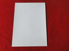 Load image into Gallery viewer, Vintage 18 Y.O + Gay Interest Colt Studios Nude Hot Hung Male Photo D26h