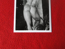 Load image into Gallery viewer, Vintage 18 Y.O + Gay Interest Colt Studios Nude Hot Hung Male Photo D26l