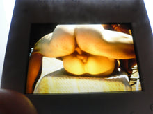 Load image into Gallery viewer, VINTAGE 35MM GAY MALE SLIDE BEEFCAKE MUSCLE NUDE FALCON STUDIOS A25c