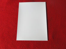 Load image into Gallery viewer, Vintage 18 Y.O + Gay Interest Colt Studios Nude Hot Hung Male Photo D26m