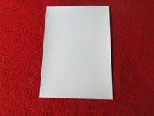 Load image into Gallery viewer, Vintage 18 Y.O + Gay Interest Colt Studios Nude Hot Hung Male Photo D26o