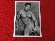 Load image into Gallery viewer, Vintage 18 Y.O + Gay Interest Colt Studios Nude Hot Hung Male Photo D26p