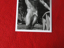 Load image into Gallery viewer, Vintage 18 Y.O. + Gay Interest Colt/Fox/Chippendale Nude Hot Male Photo D26w