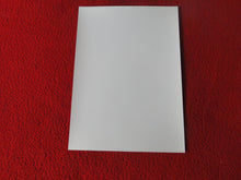 Load image into Gallery viewer, Vintage 18 Y.O. + Gay Interest Colt/Fox/Chippendale Nude Hot Male Photo D26x