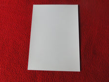 Load image into Gallery viewer, Vintage 18 Y.O. + Gay Interest Colt/Fox/Chippendale Nude Hot Male Photo D26y