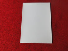 Load image into Gallery viewer, Vintage 18 Y.O. + Gay Interest Colt/Fox/Chippendale Nude Hot Male Photo D262