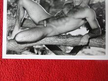 Load image into Gallery viewer, Vintage 18 Y.O. + Gay Interest Colt/Fox/Chippendale Nude Hot Male Photo D263