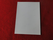 Load image into Gallery viewer, Vintage 18 Y.O. + Gay Interest Colt Nude Hot Hung Muscle Male Photo D268