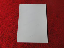 Load image into Gallery viewer, Vintage 18 Y.O. + Gay Interest Colt Nude Hot Hung Muscle Male Photo D2610