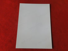 Load image into Gallery viewer, Vintage 18 Y.O + Gay Interest Colt Studios Nude Hot Hung Male Photo AH3