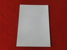 Load image into Gallery viewer, Vintage 18 Y.O + Gay Interest Colt Studios Nude Hot Hung Male Photo AH8