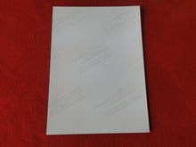 Load image into Gallery viewer, Vintage 18 Y.O + Gay Interest Colt Studios Nude Hot Hung Male Photo AH10