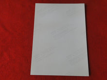 Load image into Gallery viewer, Vintage 18 Y.O + Gay Interest Colt Studios Nude Hot Hung Male Photo AH11