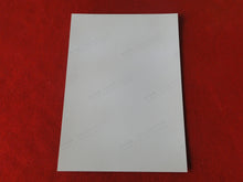 Load image into Gallery viewer, Vintage 18 Y.O + Gay Interest Colt Studios Nude Hot Hung Male Photo AH14