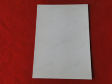 Load image into Gallery viewer, Vintage 18 Y.O. + Gay Interest Nude Hot Hung Muscular Male Colt Photo 5 x 7 AH35