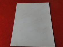 Load image into Gallery viewer, Vintage 18 Y.O. + Gay Interest Nude Hot Hung Muscular Male Photo 8 x 10 AK14